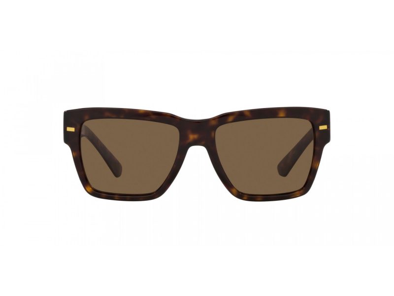 Dolce & Gabbana Solbriller DG 4431 502/73