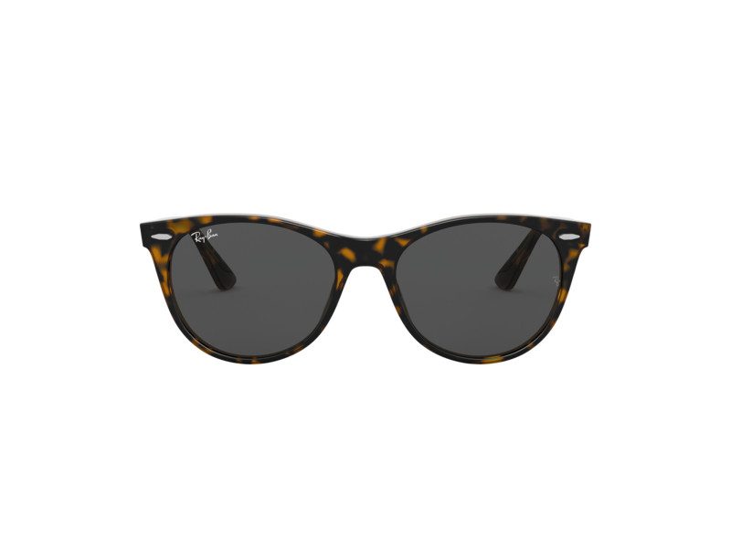 Ray-Ban Wayfarer Ii Solbriller RB 2185 1292/B1