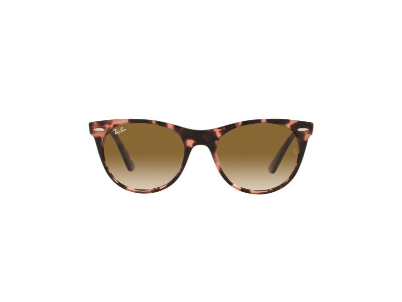 Ray-Ban Wayfarer Ii Solbriller RB 2185 1334/51