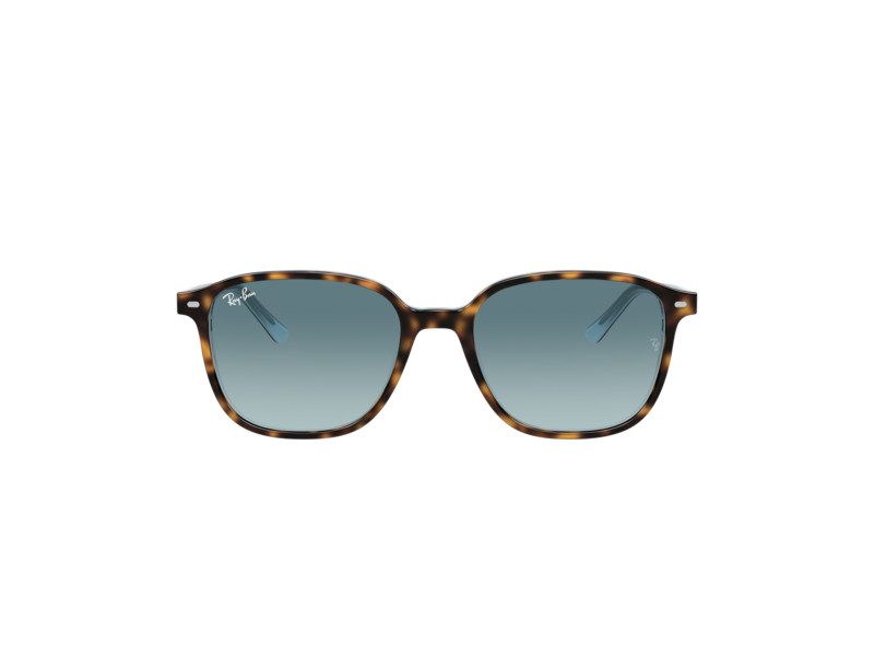 Ray-Ban Leonard Solbriller RB 2193 1316/3M