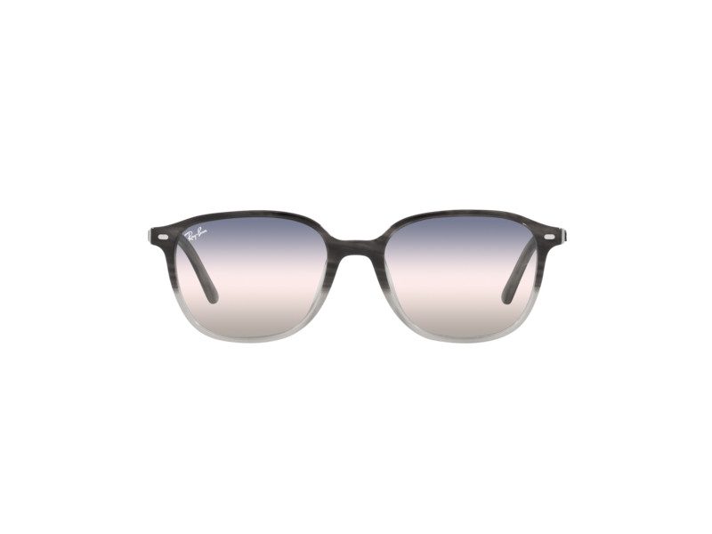 Ray-Ban Leonard Solbriller RB 2193 1326/GE