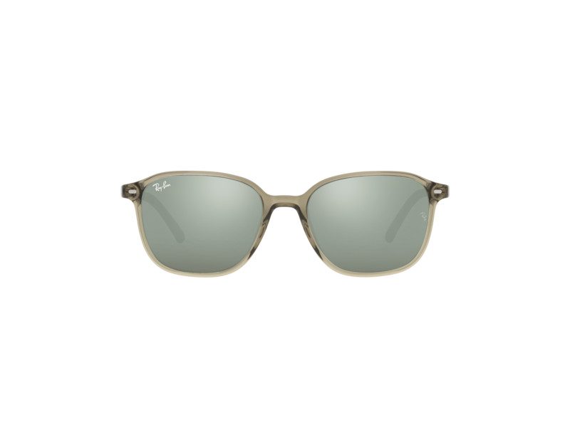 Ray-Ban Leonard Solbriller RB 2193 6635/5C