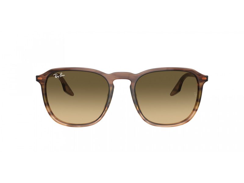 Ray-Ban Solbriller RB 2203 13920A