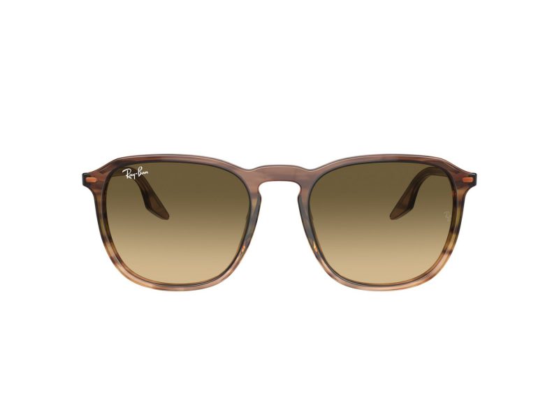 Ray-Ban Solbriller RB 0RB2203 13920A