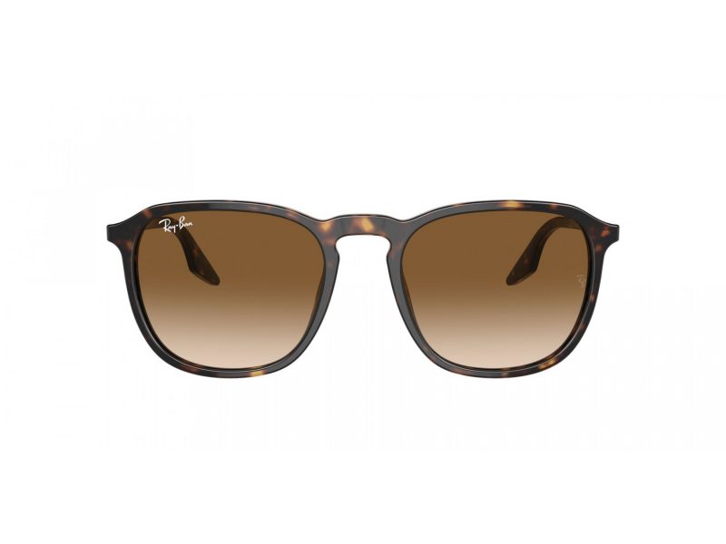 Ray-Ban Solbriller RB 2203 902/51