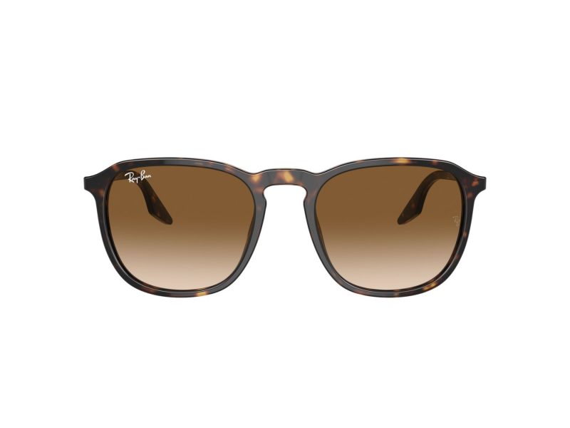 Ray-Ban Solbriller RB 0RB2203 902/51