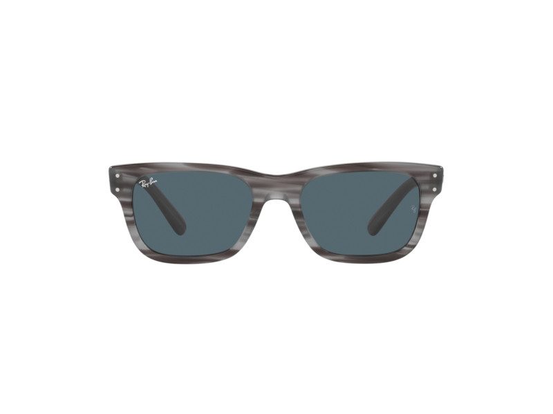 Ray-Ban Mr Burbank Solbriller RB 2283 1314/R5