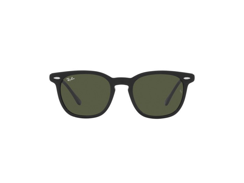 Ray-Ban Hawkeye Solbriller RB 2298 901/31