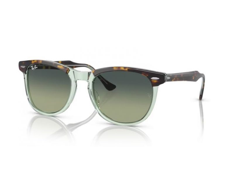 Ray-Ban Eagleeye Solbriller RB 2398 1376BH