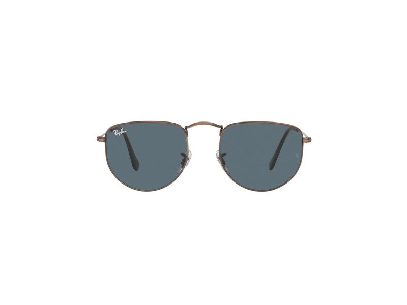 Ray-Ban Elon Solbriller RB 3958 9230/R5