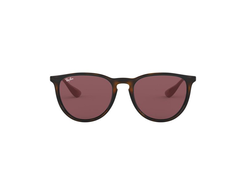 Ray-Ban Erika Solbriller RB 4171 6391/75