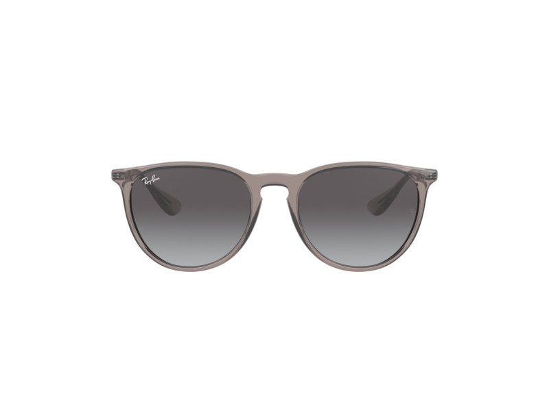 Ray-Ban Erika Solbriller RB 4171 6513/8G