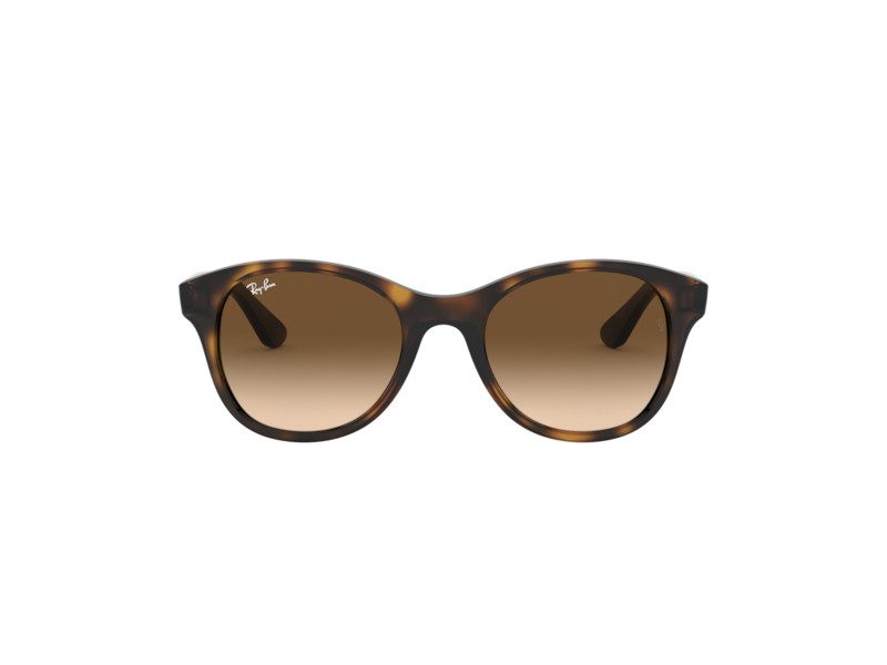 Ray-Ban Solbriller RB 4203 710/13