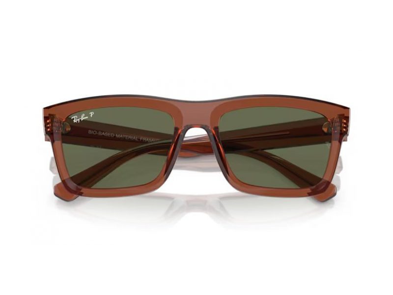 Ray-Ban Warren Solbriller RB 4396 66789A