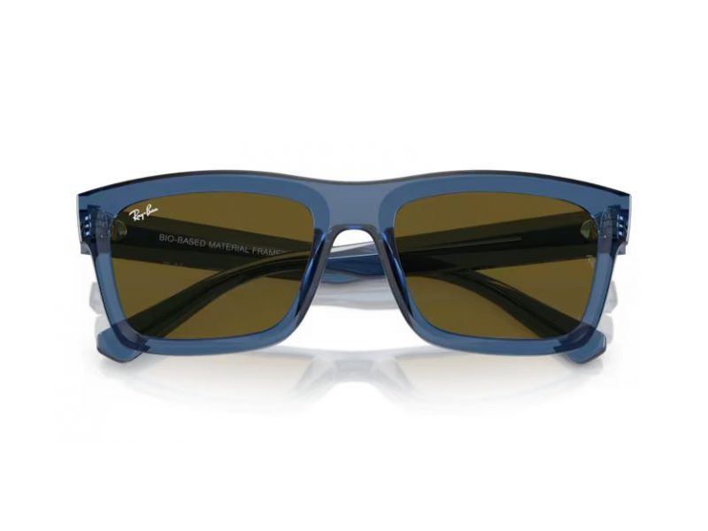 Ray-Ban Warren Solbriller RB 4396 668073