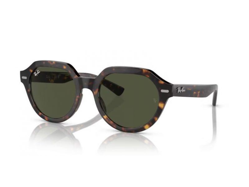 Ray-Ban Gina Solbriller RB 4399 902/31