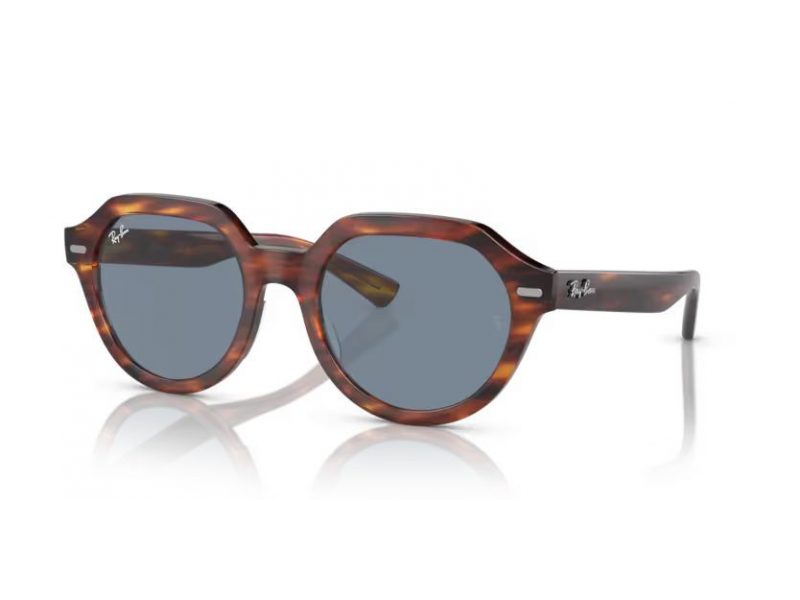 Ray-Ban Gina Solbriller RB 4399 954/62