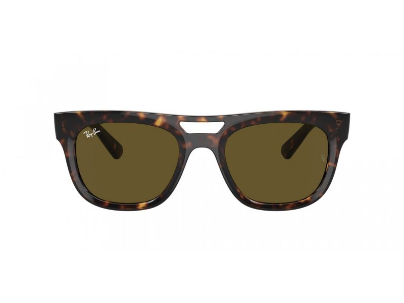 Ray-Ban Phil Solbriller RB 4426 135973