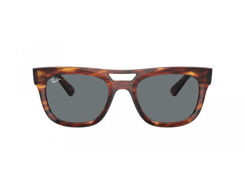 Ray-Ban Phil Solbriller RB 4426 139880