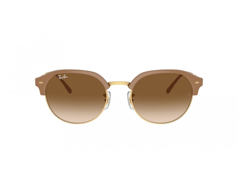 Ray-Ban Solbriller RB 4429 672151