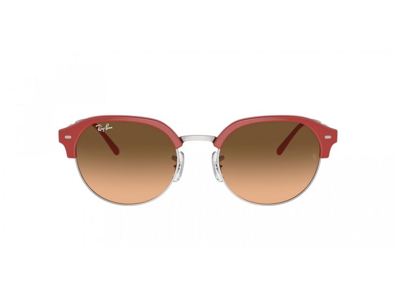 Ray-Ban Solbriller RB 4429 67223B