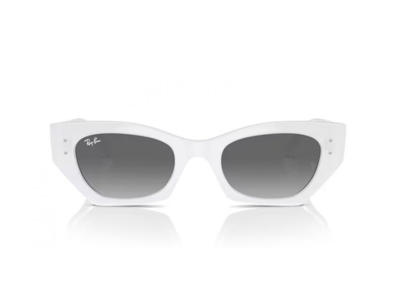 Ray-Ban Zena Solbriller RB 4430 675911