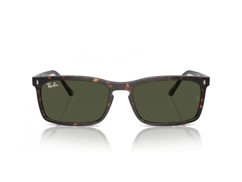 Ray-Ban Solbriller RB 4435 902/31