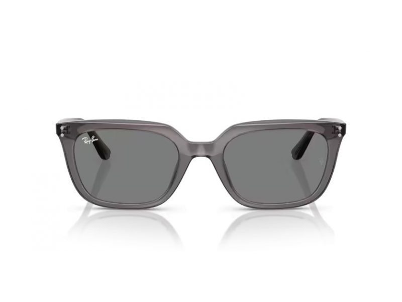 Ray-Ban Solbriller RB 4439D 667587