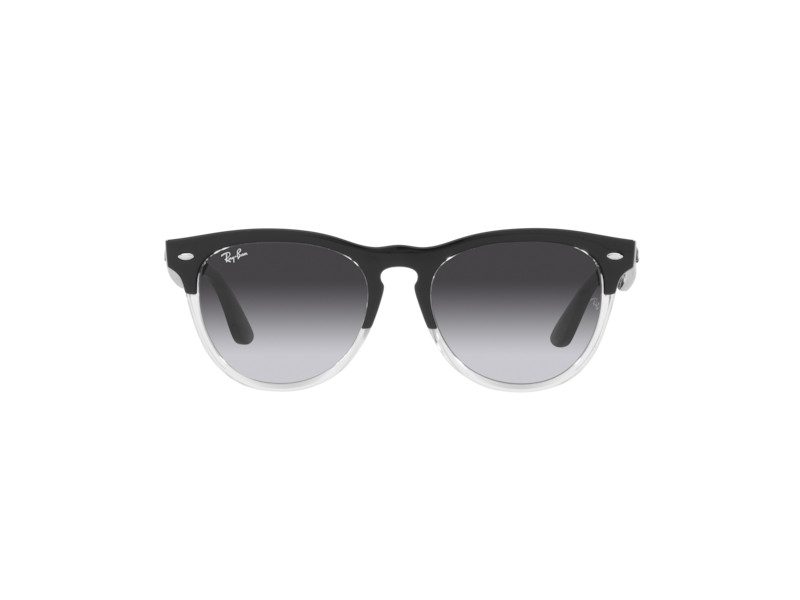 Ray-Ban Iris Solbriller RB 4471 6630/8G