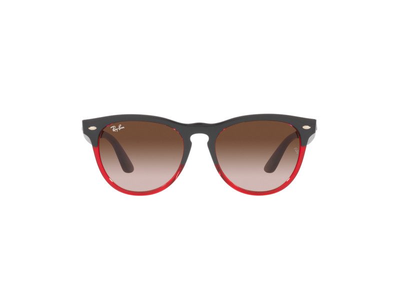 Ray-Ban Iris Solbriller RB 4471 6631/13