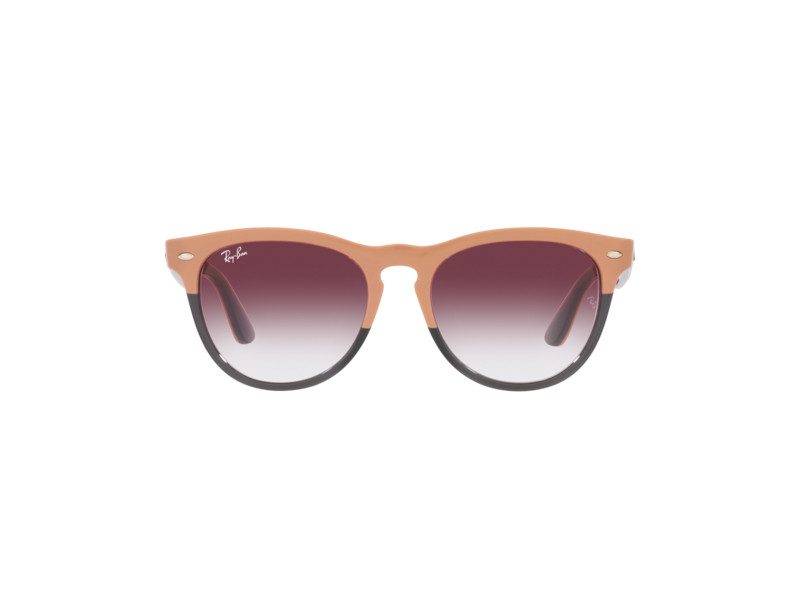 Ray-Ban Iris Solbriller RB 4471 6633/8H