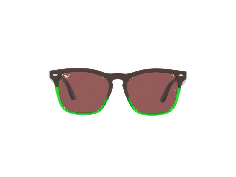 Ray-Ban Steve Briller RB 4487 663469