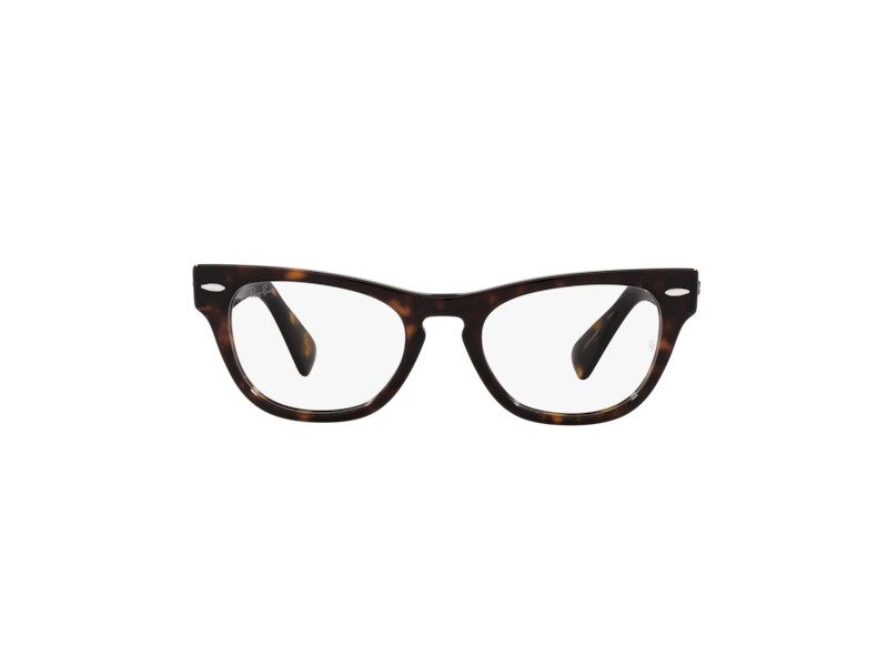 Ray-Ban Laramie Briller RX 2201V 2012