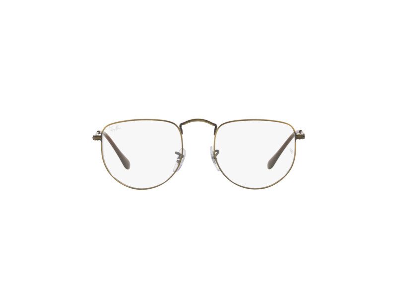 Ray-Ban Elon Briller RX 3958V 3117